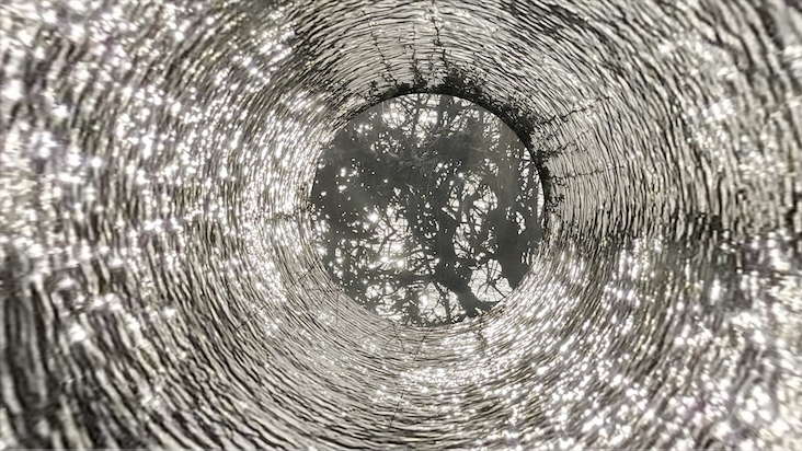 SONIC LANDSCAPES